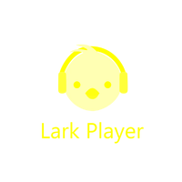 Lark Player
