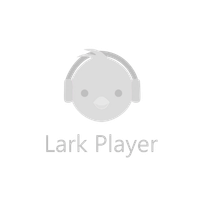 Lark Player